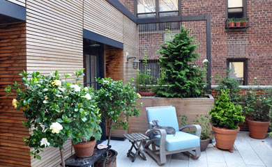 Brooklyn terrace renovation