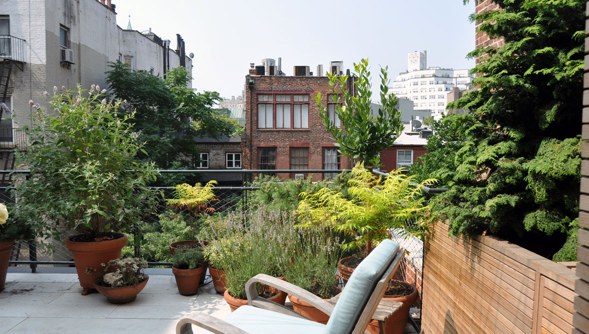terrace view surrounded by plants